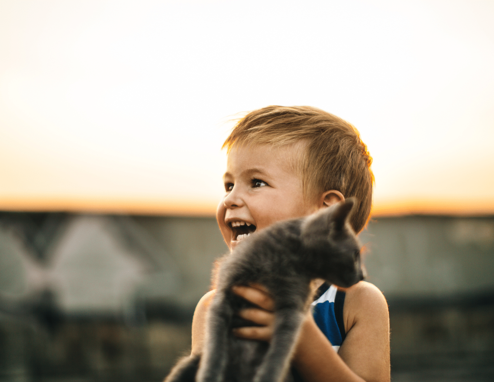 Firsttime Pet Owner Tips & Tricks! Beach Avenue Animal Hospital