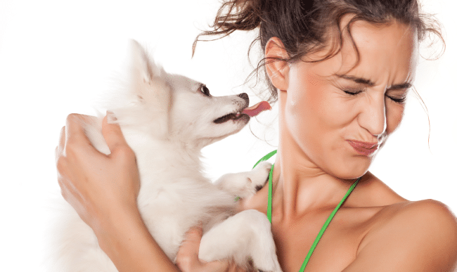 dog Bad Breath