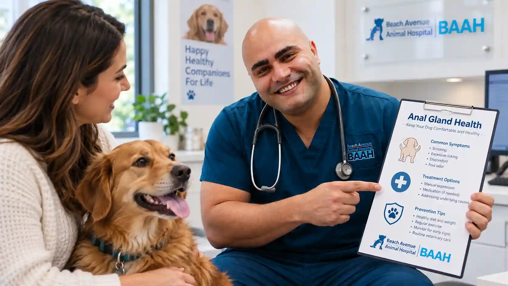 anal glands in dogs