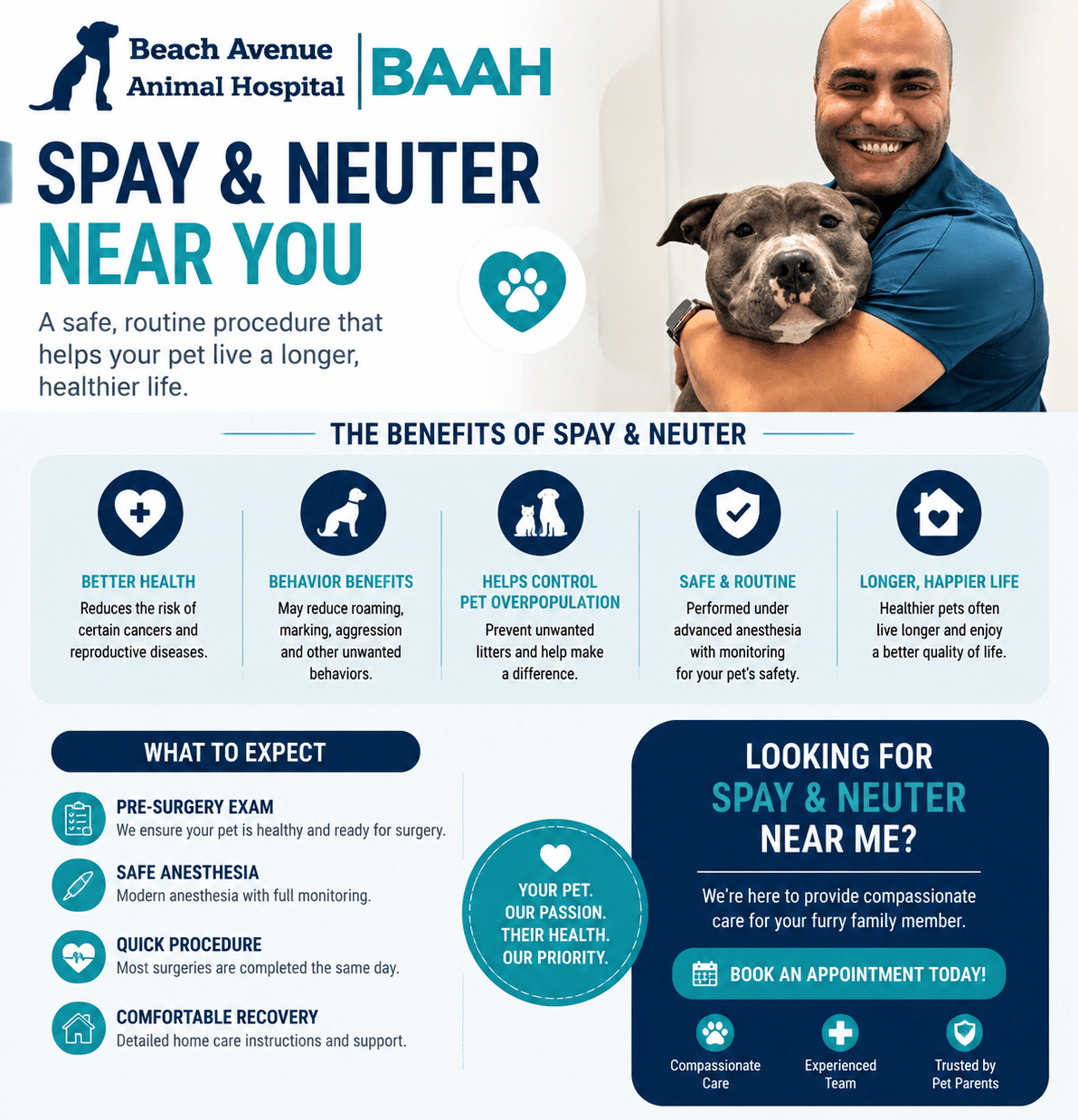 Spay and Neuter in Vancouver