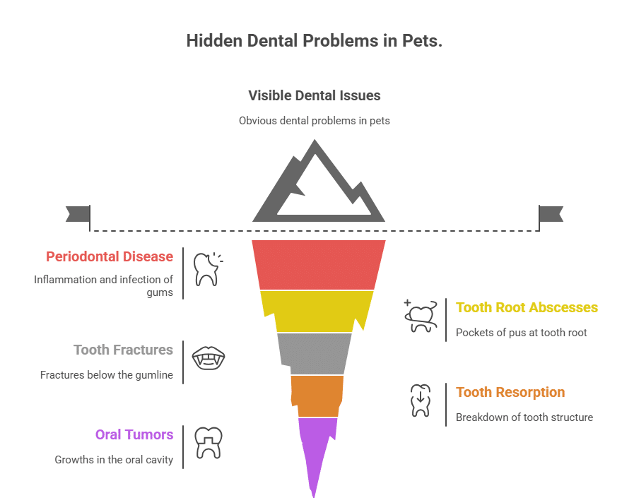 Infographic illustrating hidden dental problems in pets including periodontal disease, tooth fractures, oral tumors, tooth root abscesses, and tooth resorption
