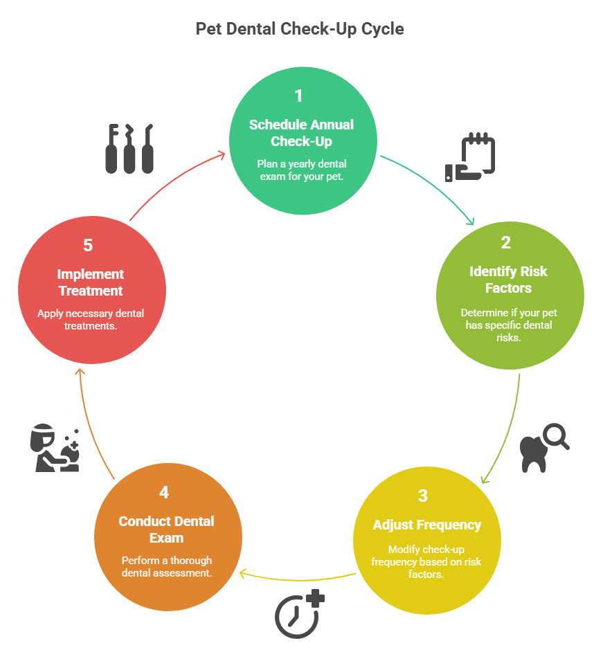 Infographic showing the pet dental check-up cycle including annual exams, risk assessment, frequency adjustments, exams, and treatments