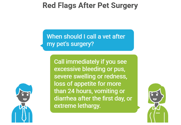 Red Flags after Surgery dogs and cats