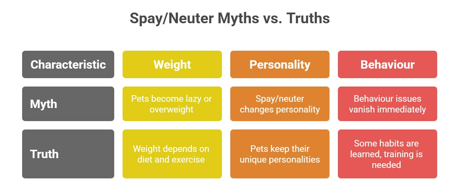 Comparison chart of common spay and neuter myths versus truths about pet weight, personality, and behaviour.