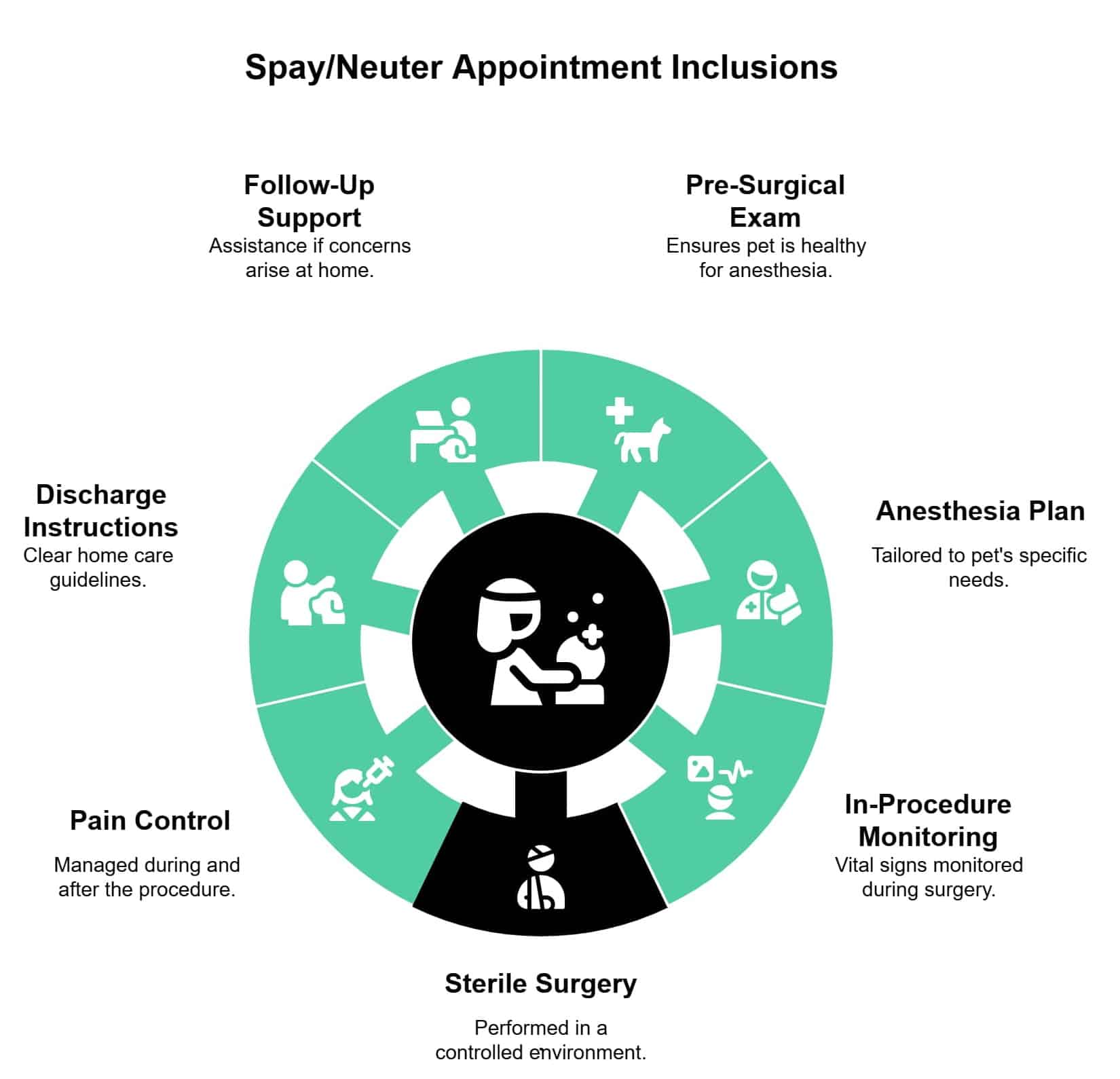 Spay and neuter appointment inclusions infographic showing exam, anesthesia plan, monitoring, sterile surgery, pain control and follow up support