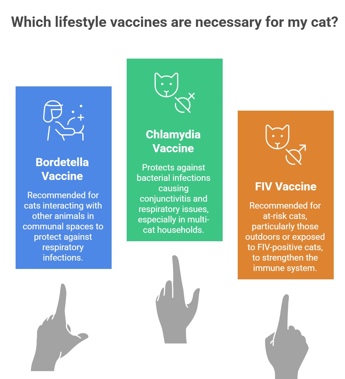 Lifestyle cat vaccines infographic showing Bordetella, Chlamydia, and FIV vaccines
