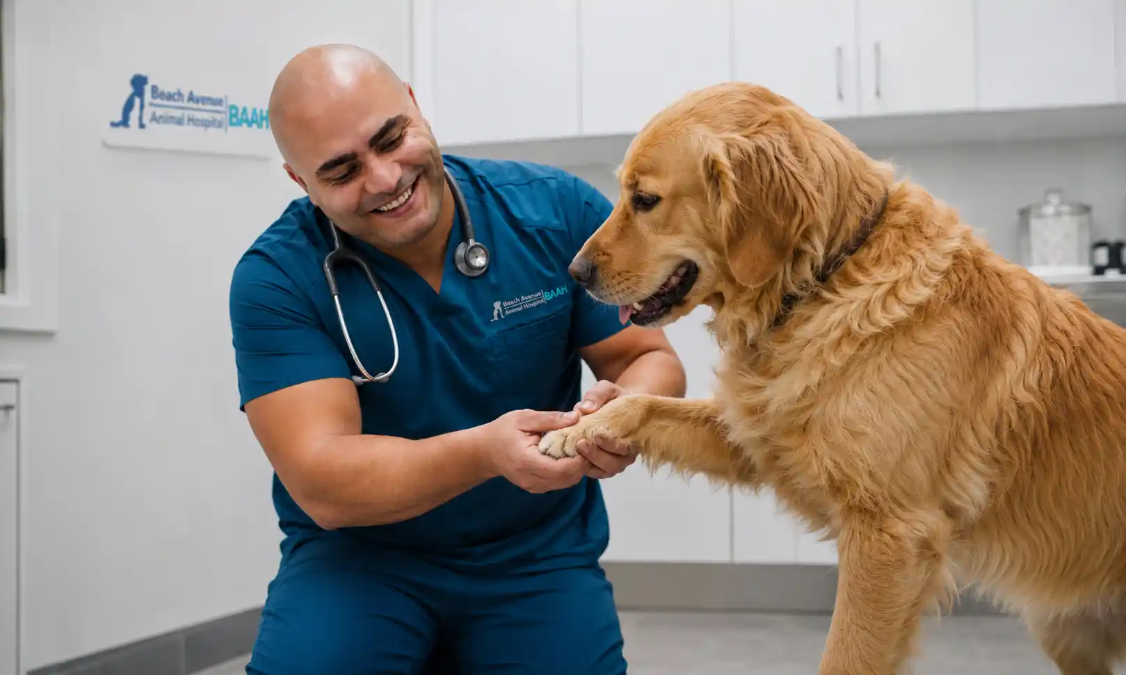dog limping back leg