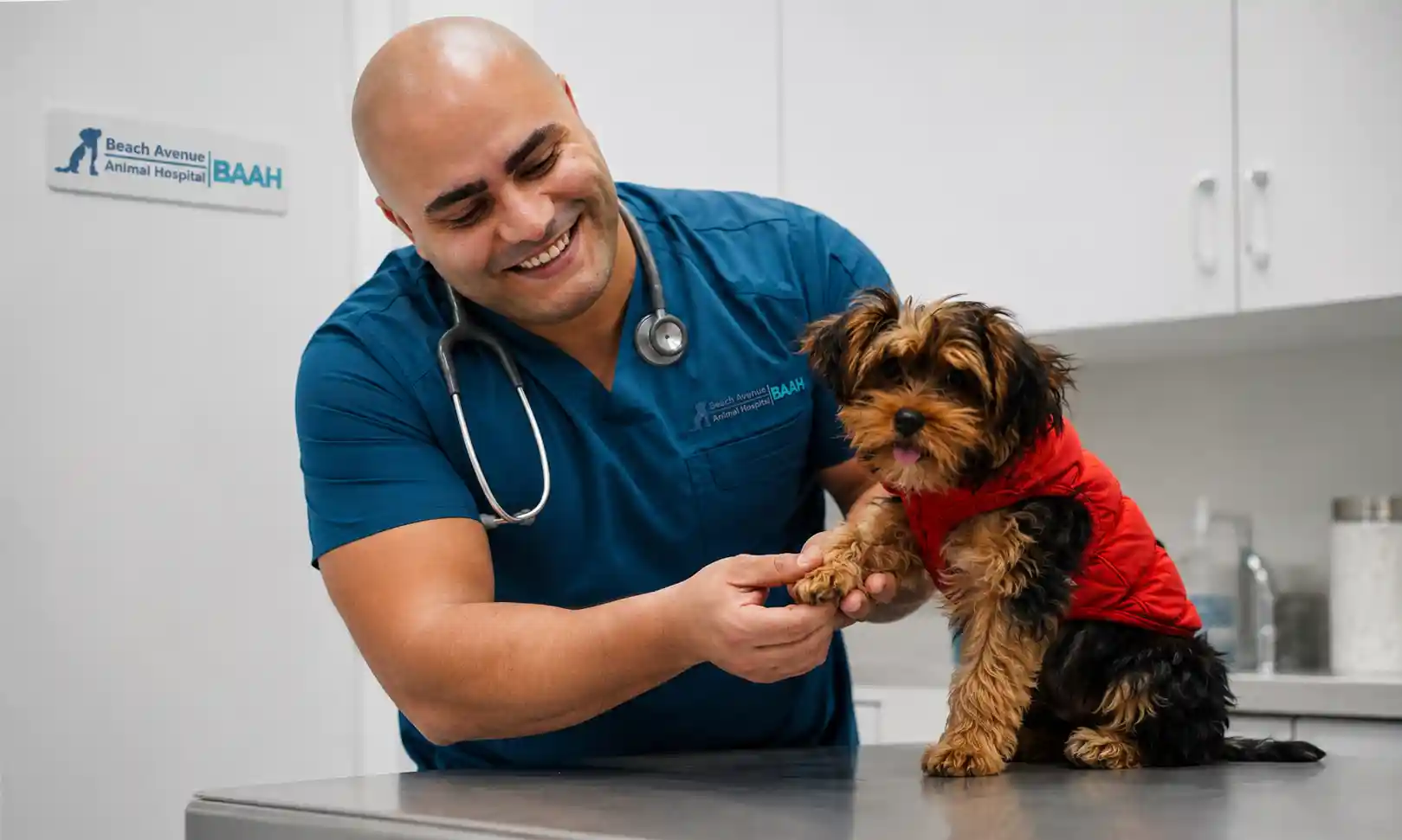 dog limping front leg