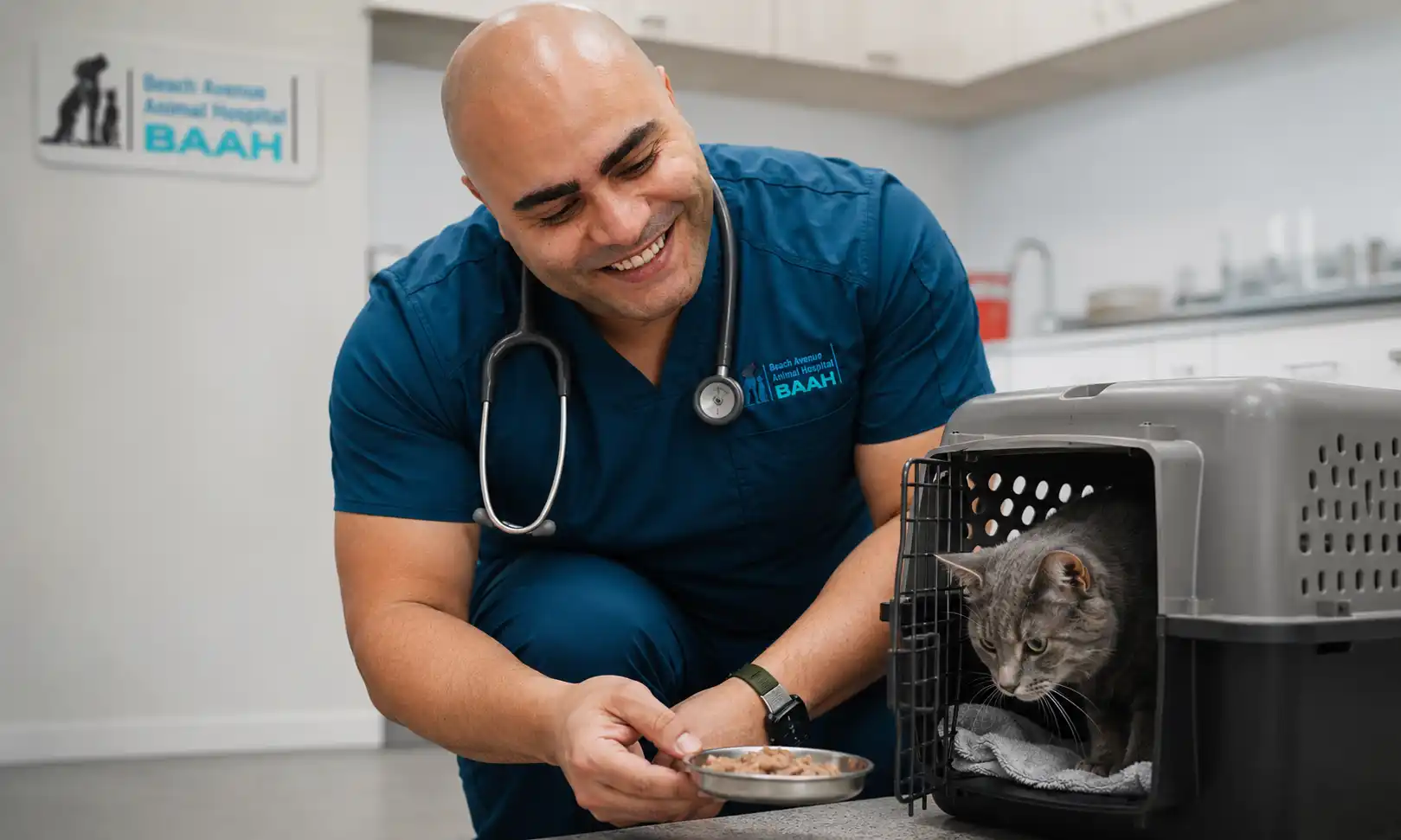 cat not eating as much