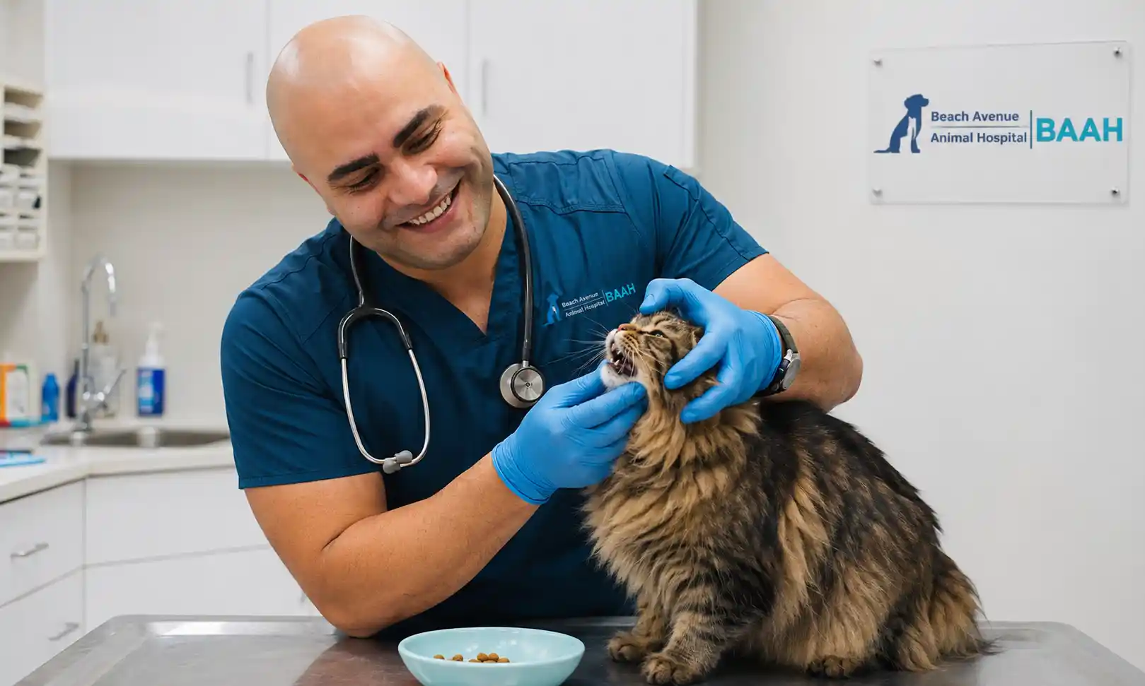 cat not eating or drinking