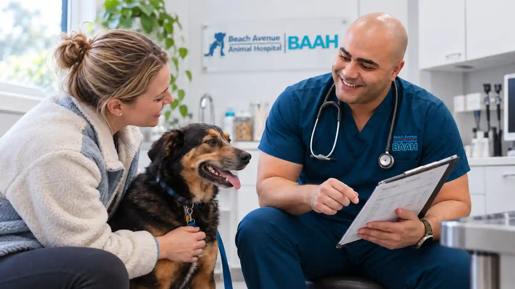 how much to spay a dog in BC