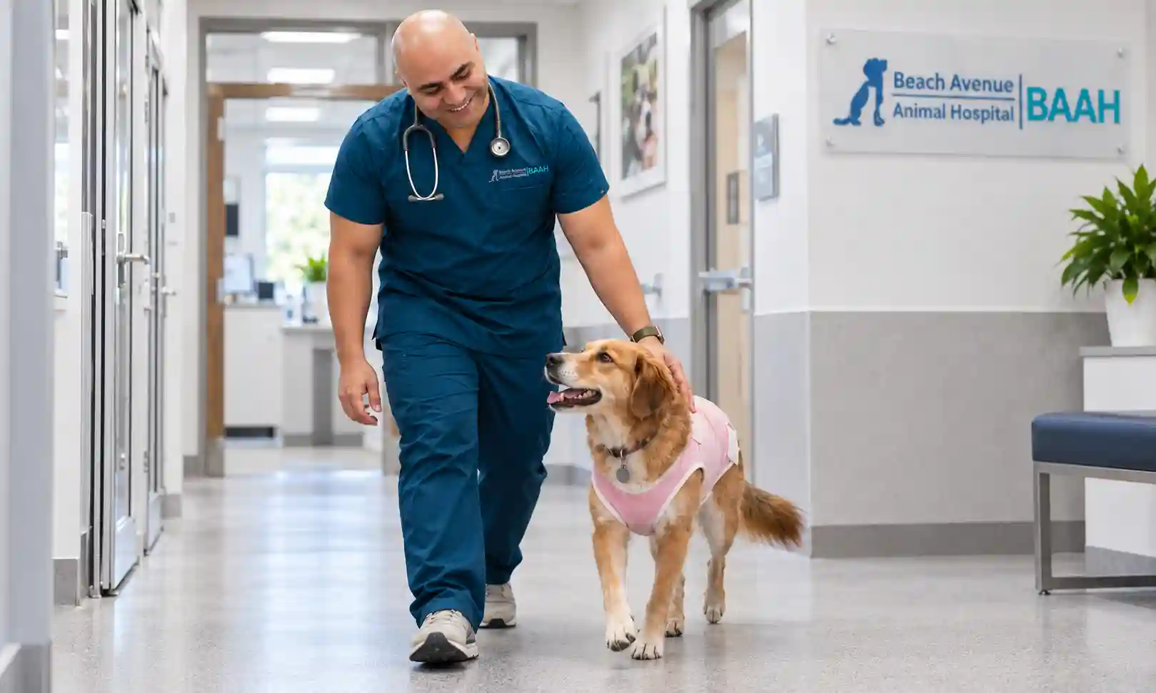 dog behavior after surgery